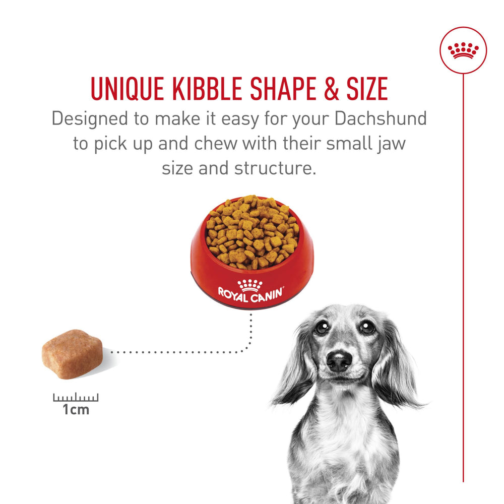 Royal Canin Dachshund Adult, proteínas digestibles y L-carnitina para músculo.