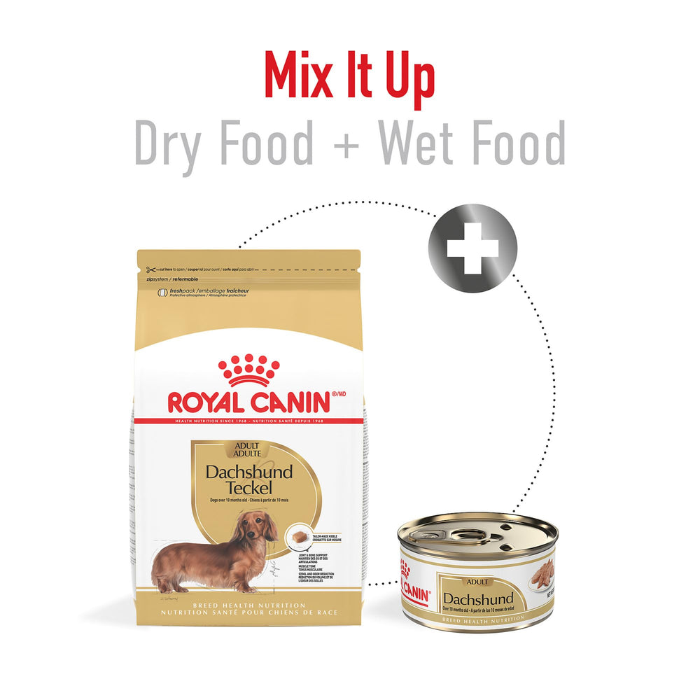 ROYAL CANIN Dachshund Adulto, fibra precisa para una digestión equilibrada.