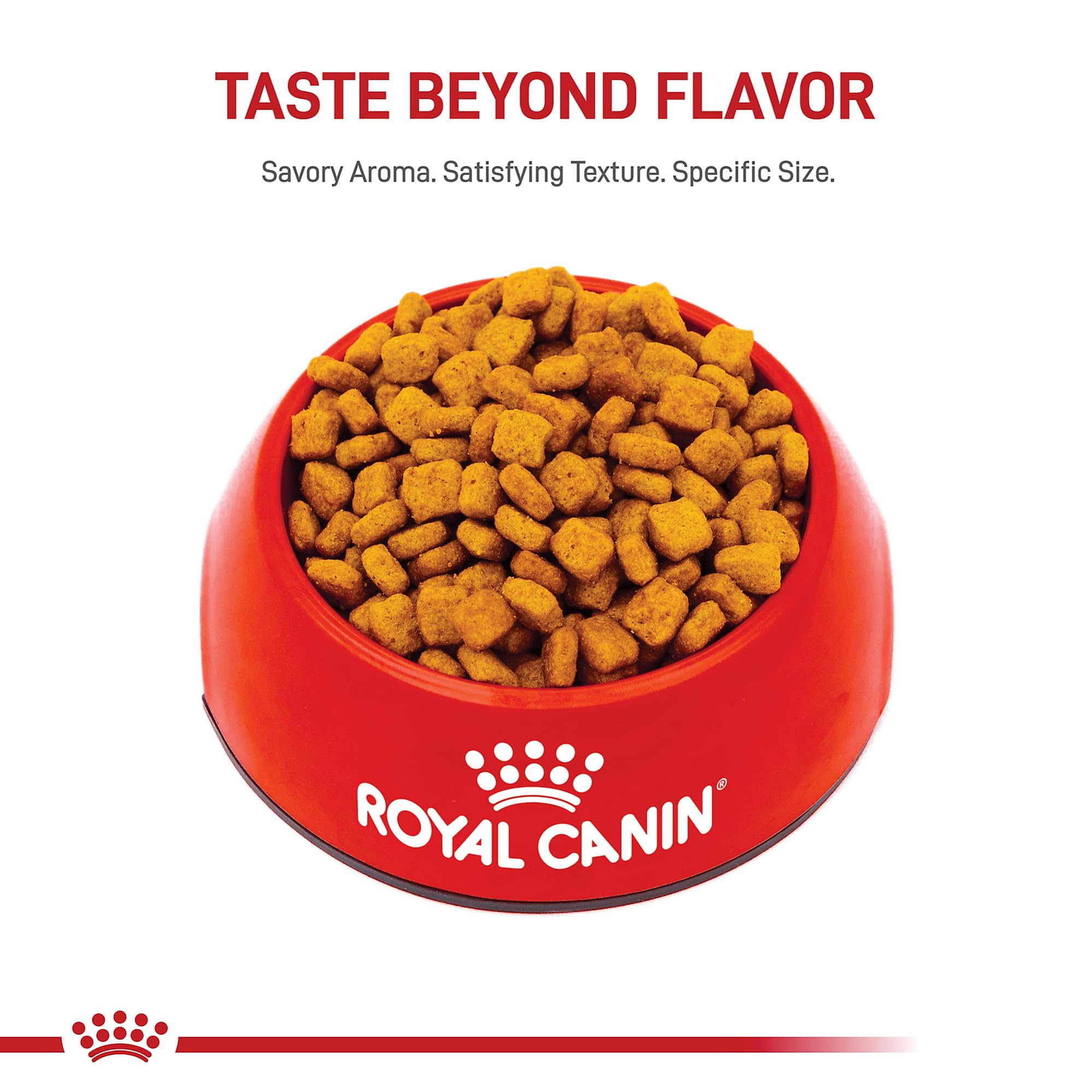 ROYAL CANIN Dachshund Adulto, mezcla suave con comida húmeda disponible.