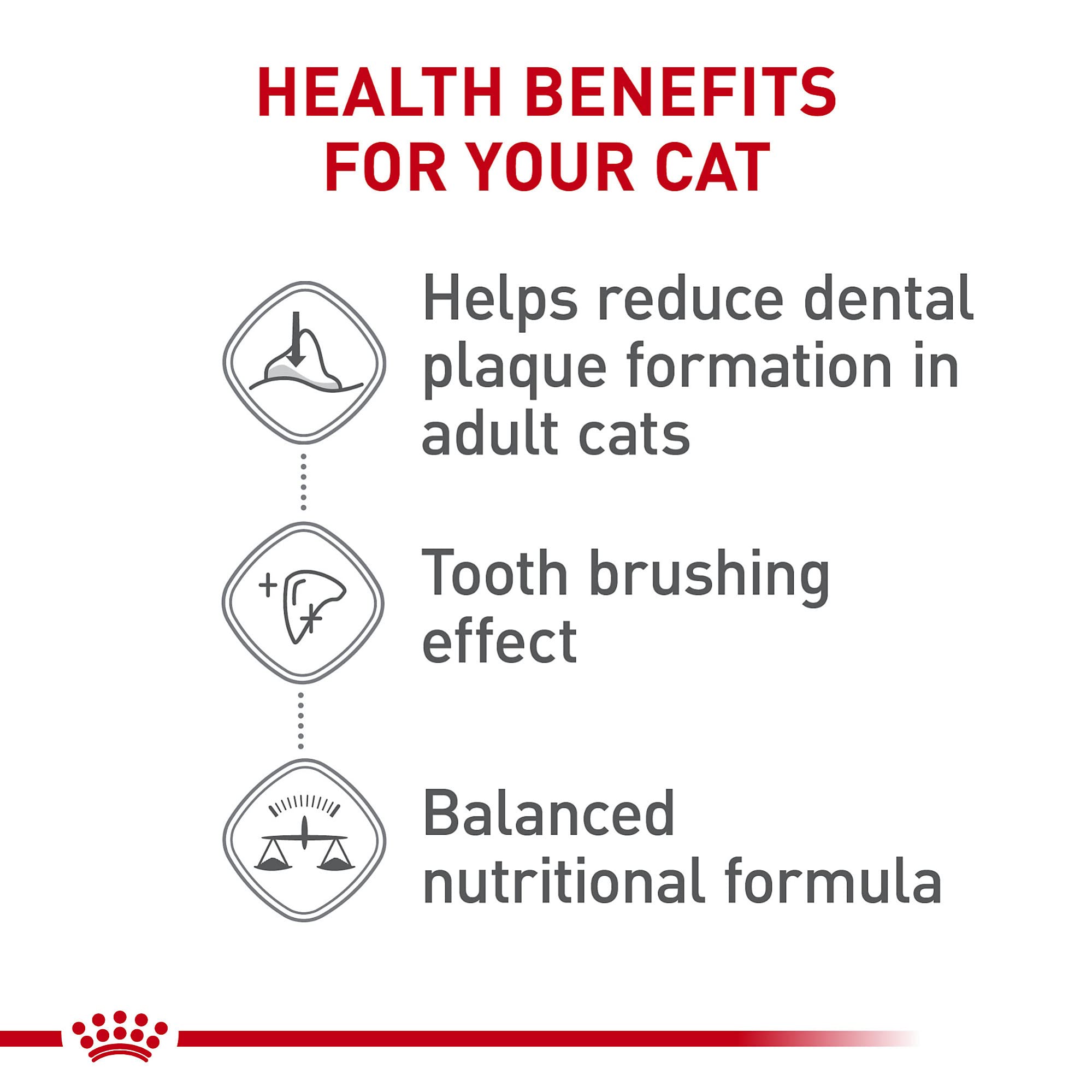 Gato disfrutando la comida seca ROYAL CANIN Dental Care