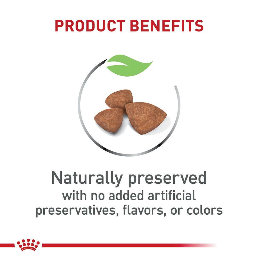 ROYAL CANIN desarrollo cerebral con DHA y omega 3 para cachorros en crecimiento.
