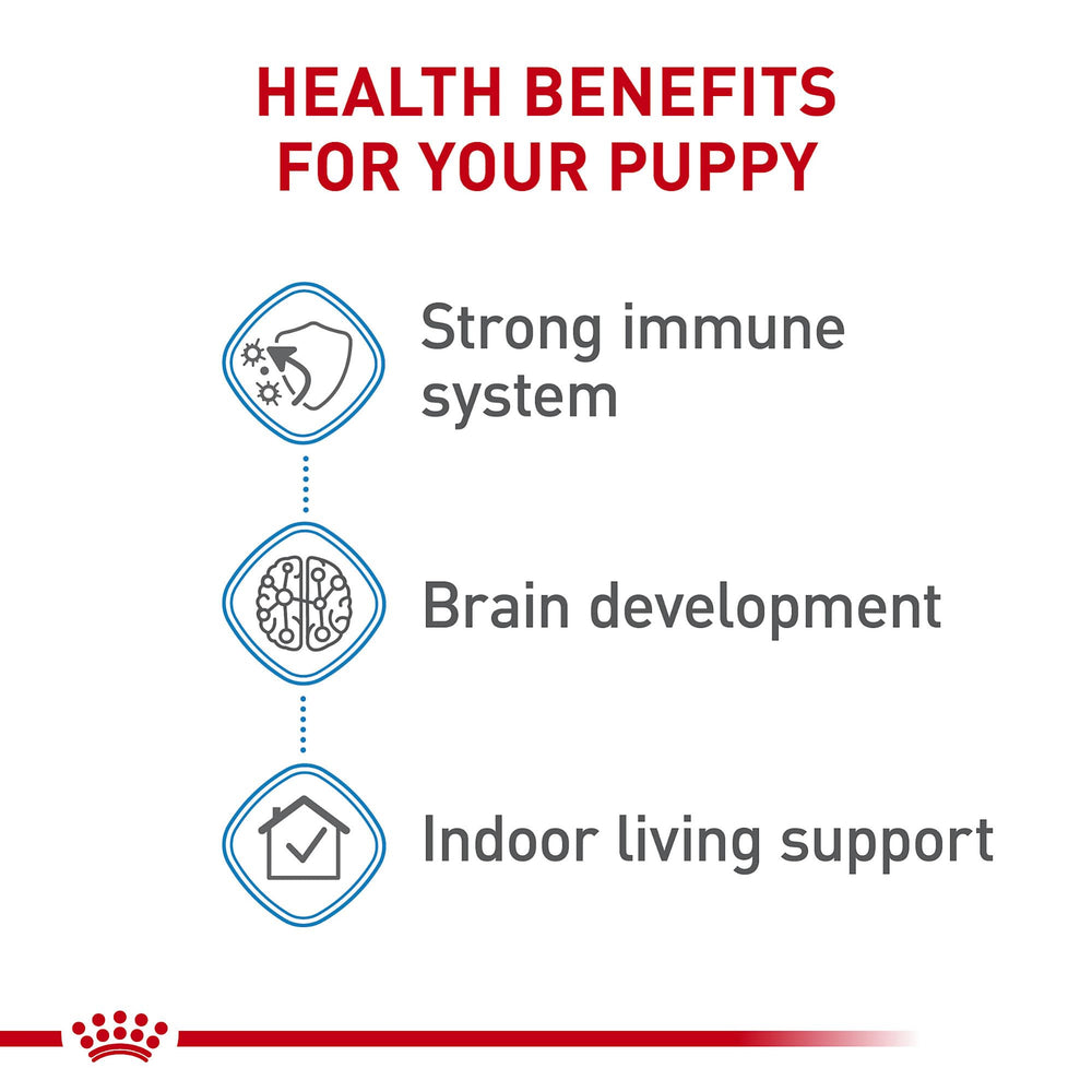 Royal Canin DHA favorece desarrollo cerebral del cachorro