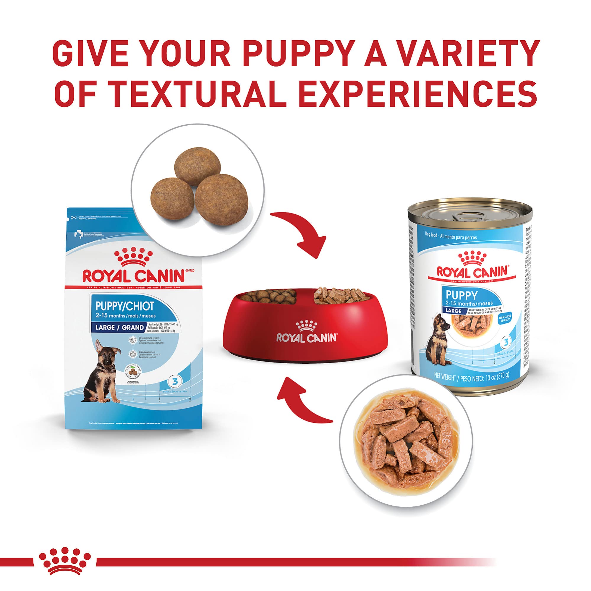 Royal Canin Cachorro Grande - DHA para desarrollo cerebral