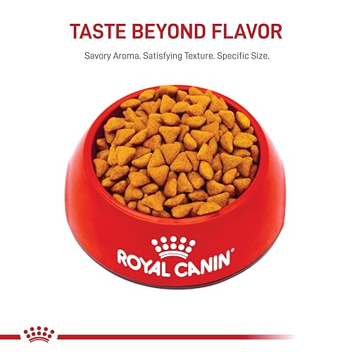 ROYAL CANIN Comida diaria para gatos indoor con bienestar general.
