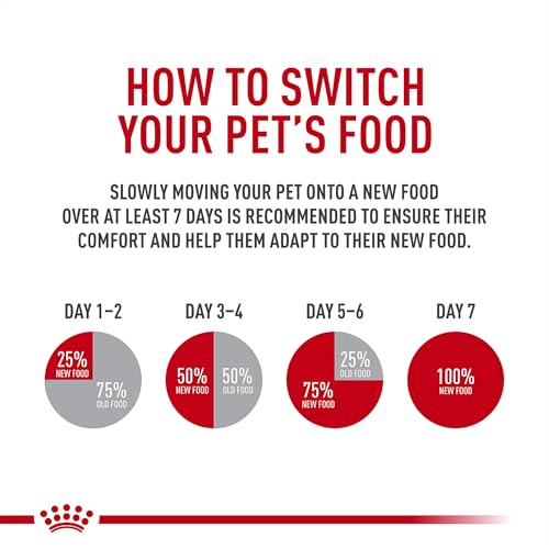 Asesoría veterinaria para dieta ROYAL CANIN Gastrointestinal