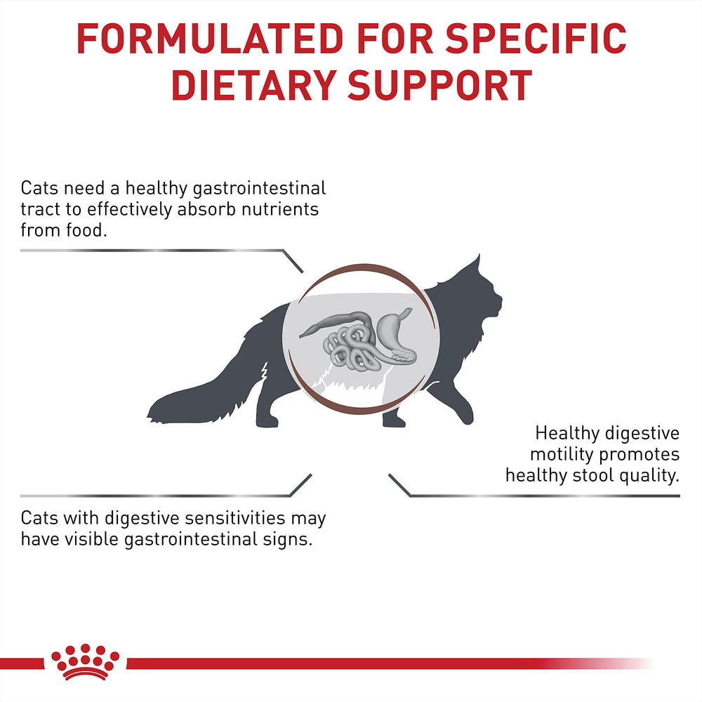 Prebióticos para microbioma intestinal en gatos con dieta felina