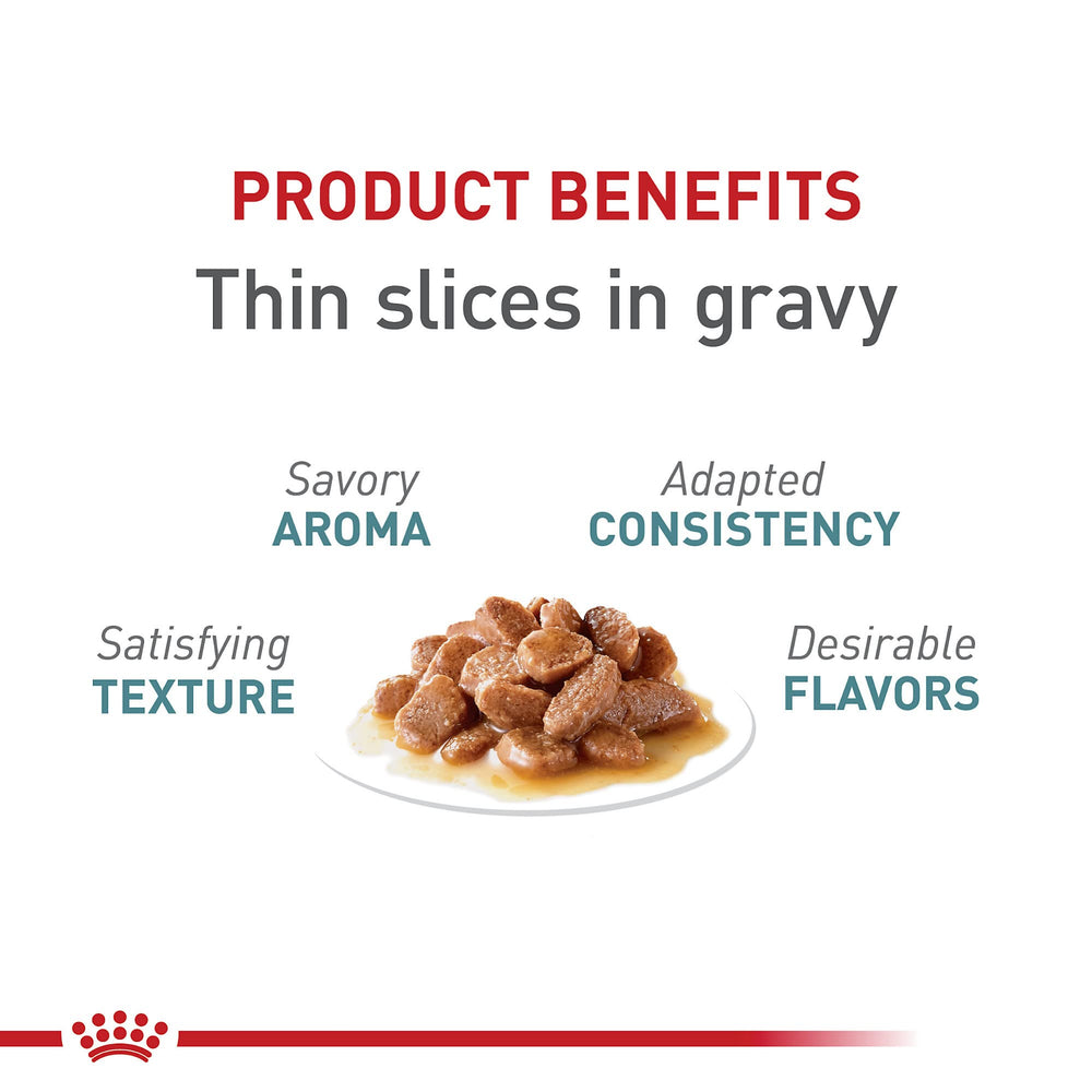 ROYAL CANIN digestion-facilitada: proteína de alta digestibilidad para gatos adultos.