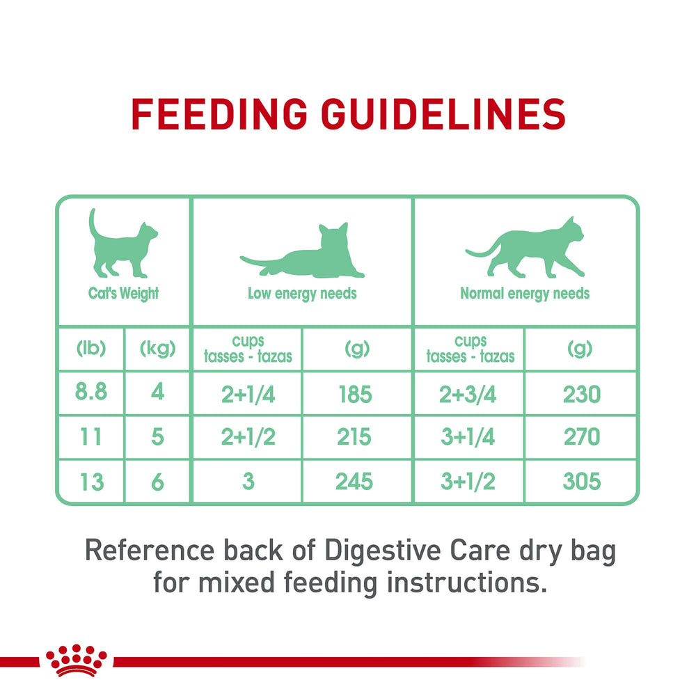 Royal Canin Digestive Care: porciones para gatos adultos con estómago sensible