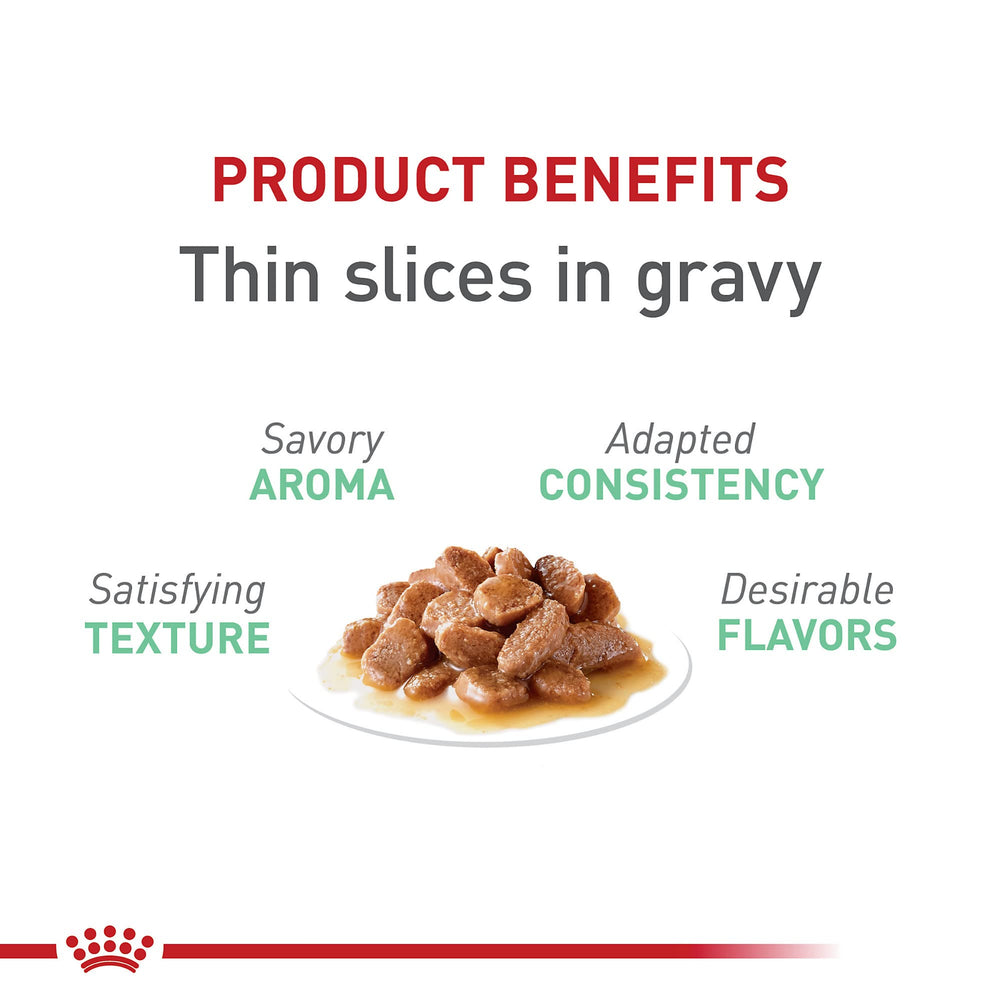 Royal Canin Digestive Care: porciones-en-lata para gatos con estómago sensible