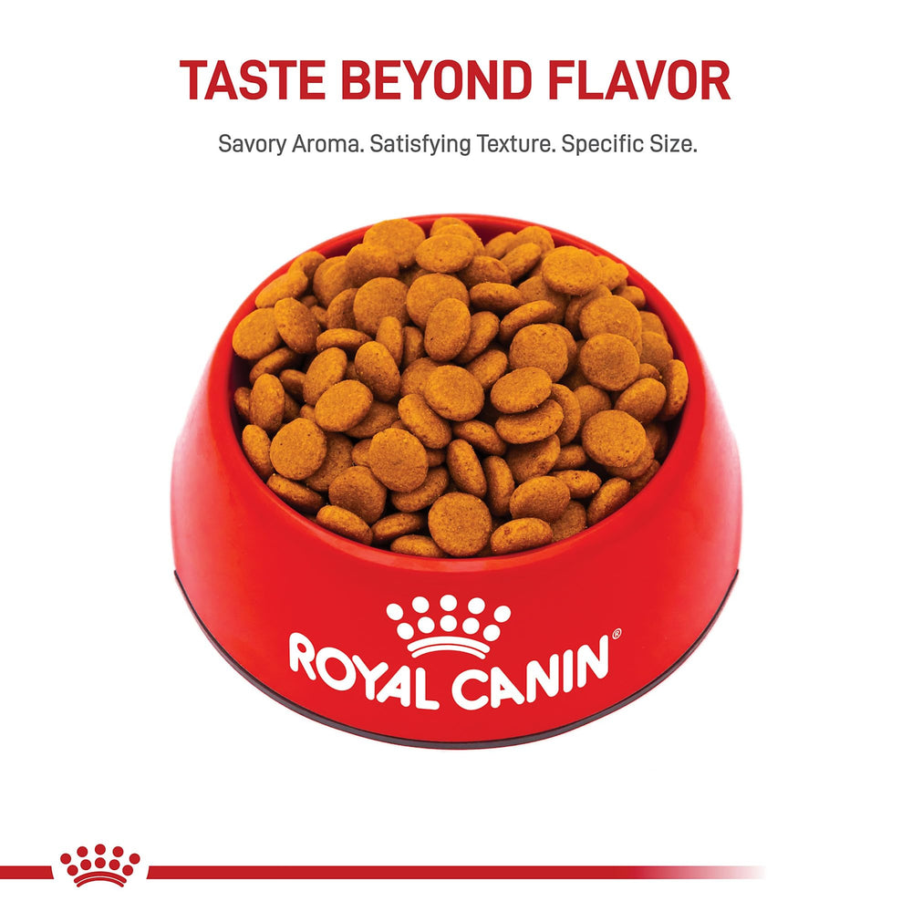 Croquetas de Royal Canin Digestivo Medio con fórmula fácilmente digerible