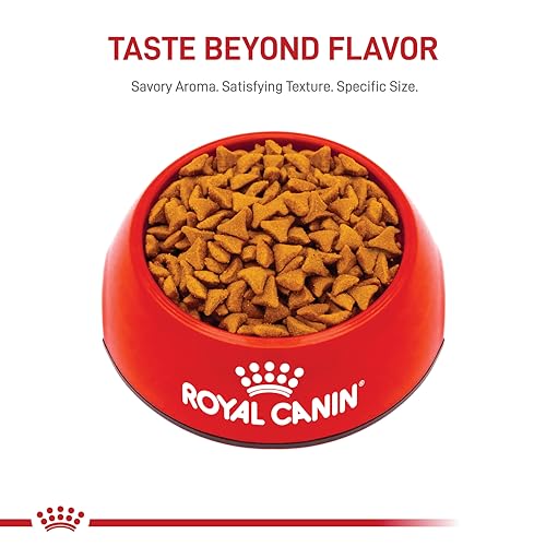 Royal Canin alimento seco para gatos de interior, cuidado de bolas de pelo.