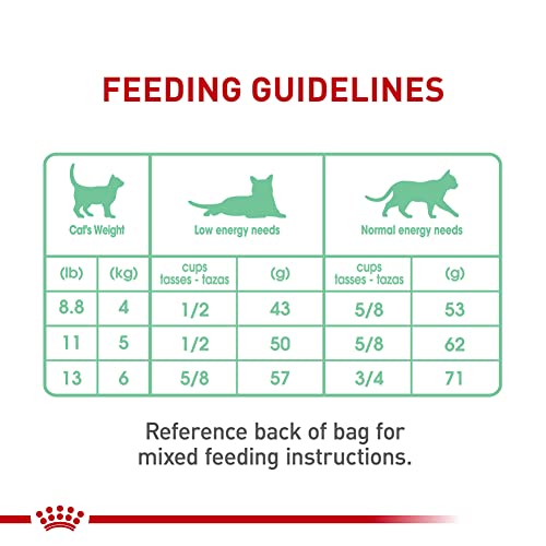 Royal Canin bolsa de 6 libras lista para uso diario.
