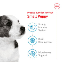 Royal Canin aporta energía y desarrollo para cachorros de razas pequeñas.