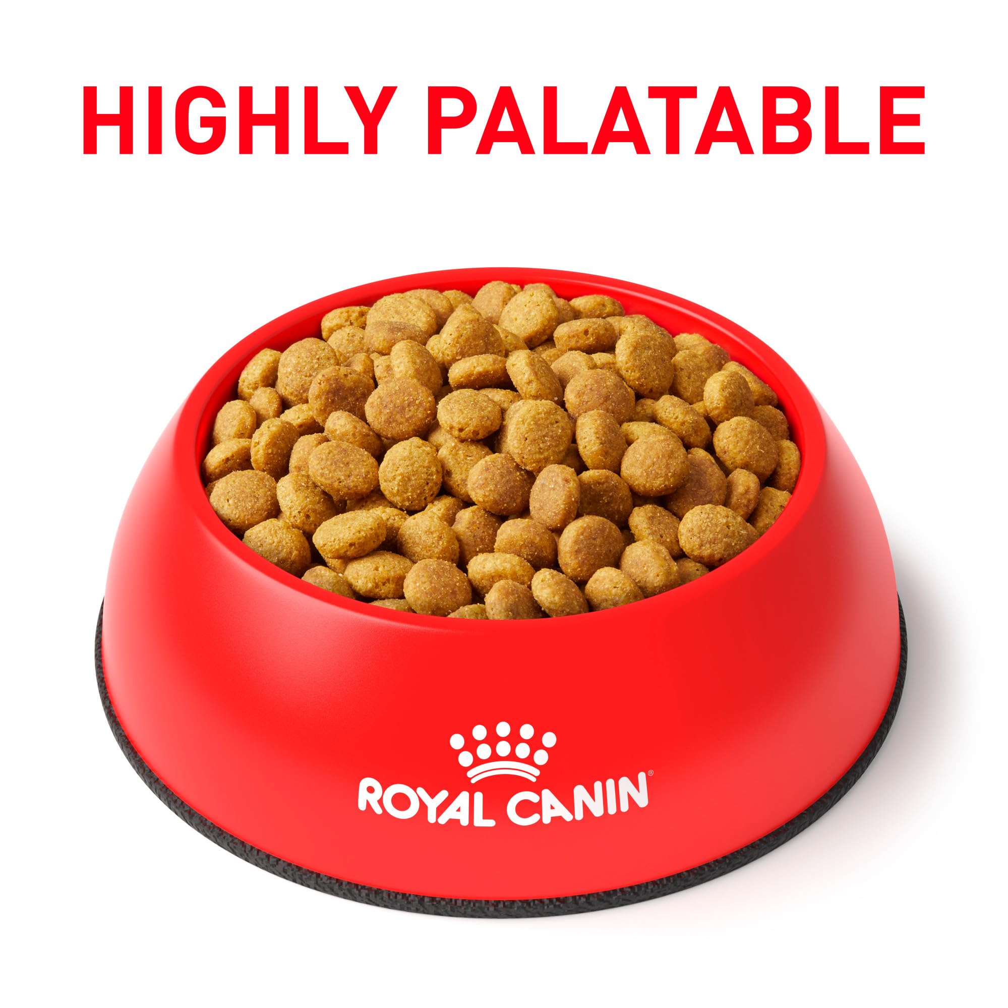 Finas pellets de ROYAL CANIN Feline URINARY SO Seco, textura personalizada.