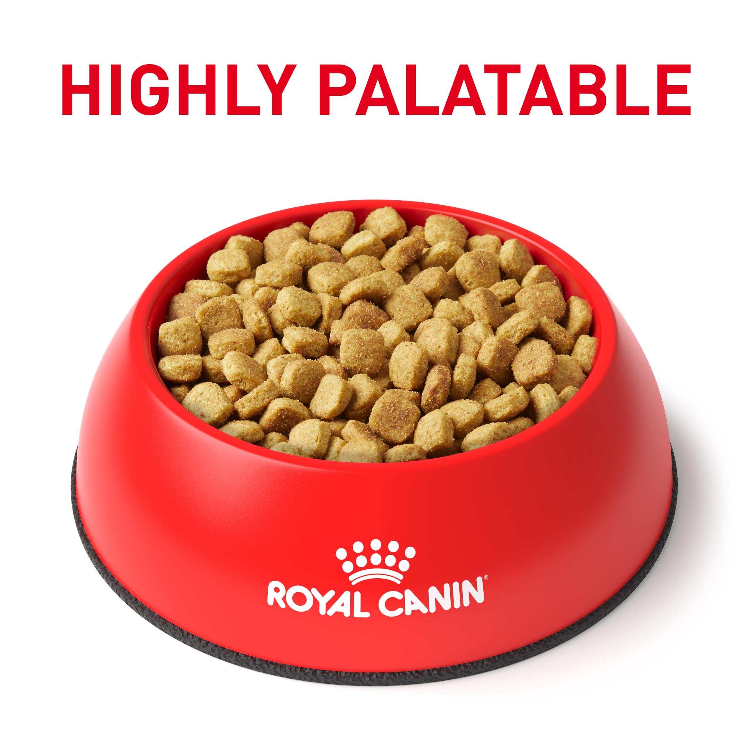 Fibra digestiva especial apoya la digestión sensible en perros adultos, Royal Canin bolsa 7.7 lb.