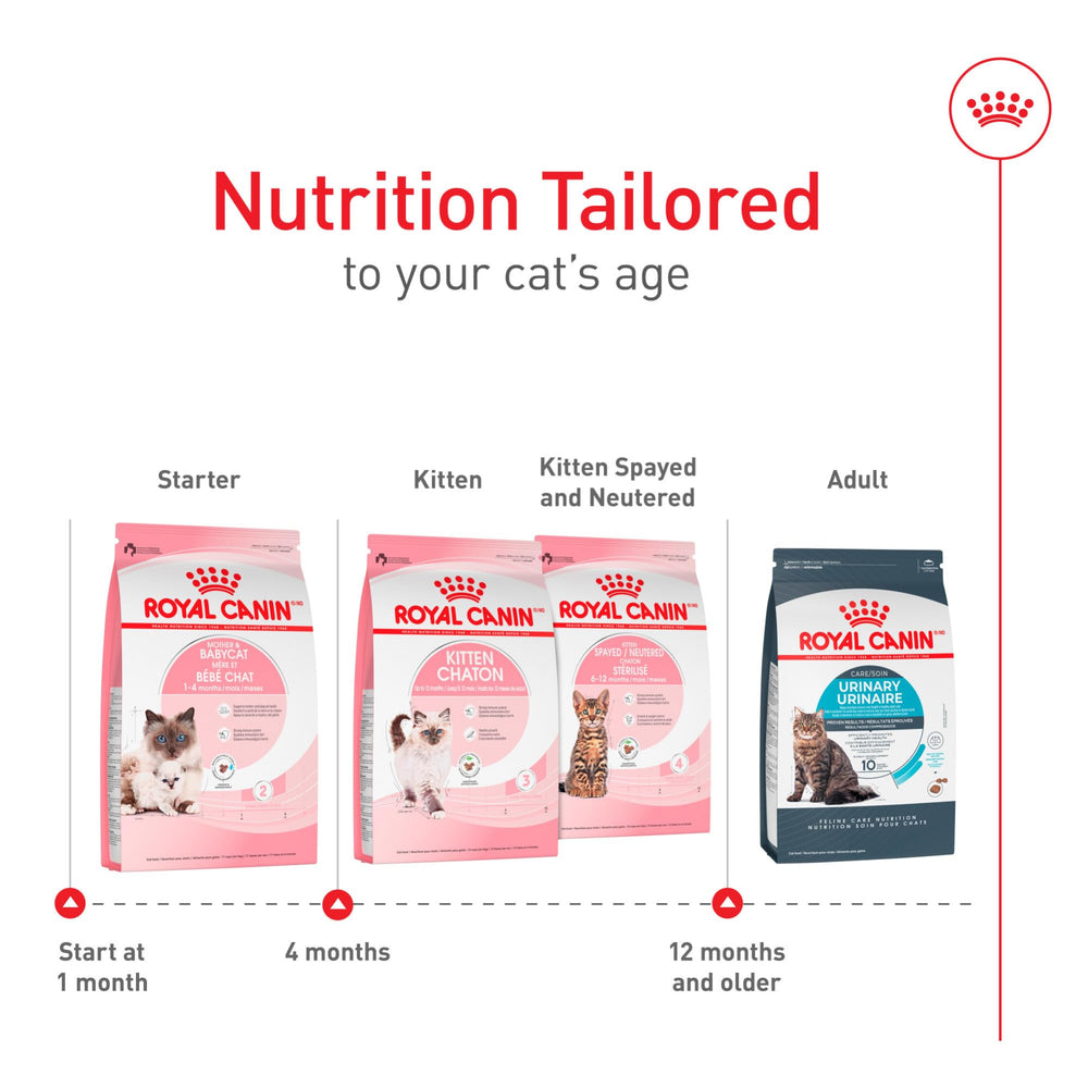 Royal Canin establece base saludable para gatitos de 1 a 4 meses.