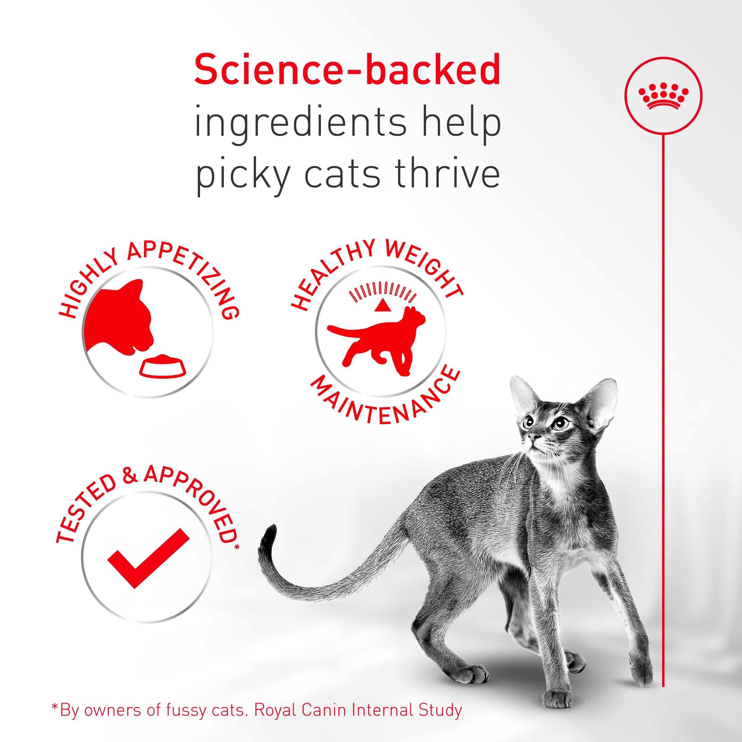ROYAL CANIN Fussy nutricion completa, dieta equilibrada para adultos.
