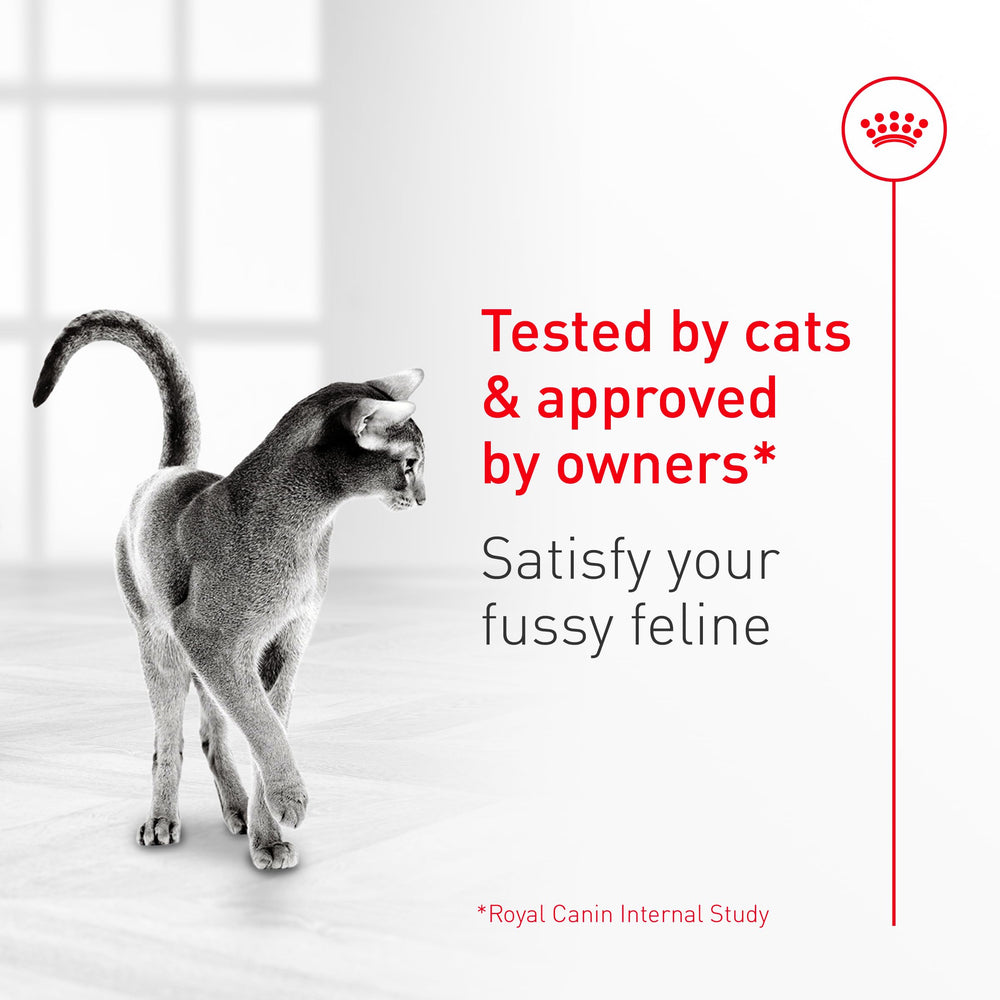ROYAL CANIN Fussy tazón con kibbles, porciones completas para el día.