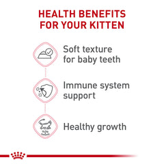 Royal Canin gatito: gatito comiendo en plato, experiencia de comida húmeda.