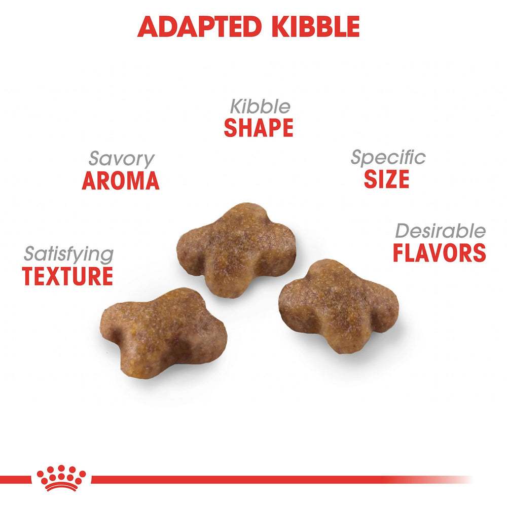 Royal Canin Gatito Croquetas Tamaño Pequeño facilita masticación