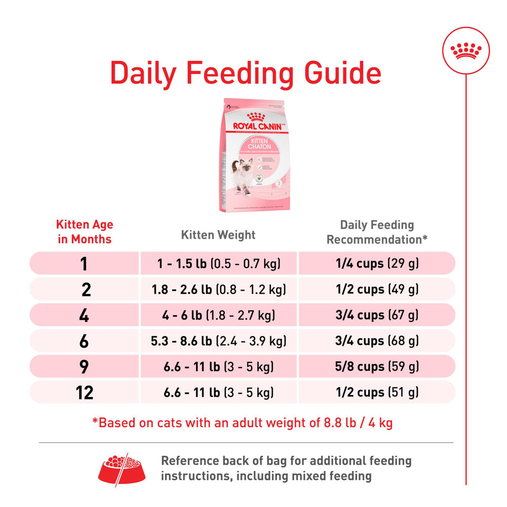 Royal Canin Gatito Dientes en Desarrollo Croquetas Suaves