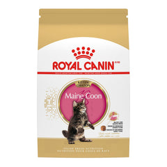 Royal Canin gatito Maine Coon croqueta adaptada para mandíbulas grandes