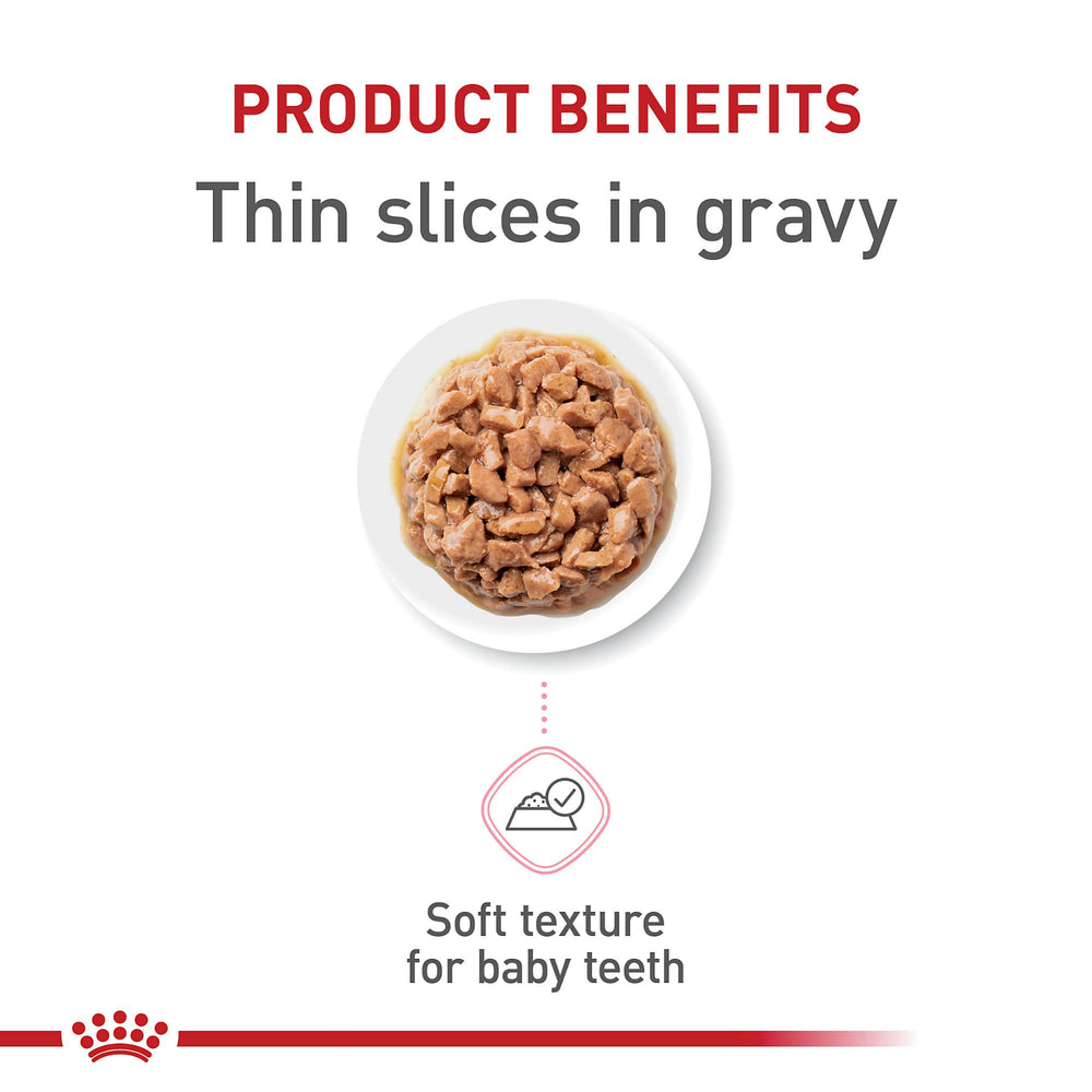 Royal Canin gatito: trozos en salsa en primer plano, textura apetecible.