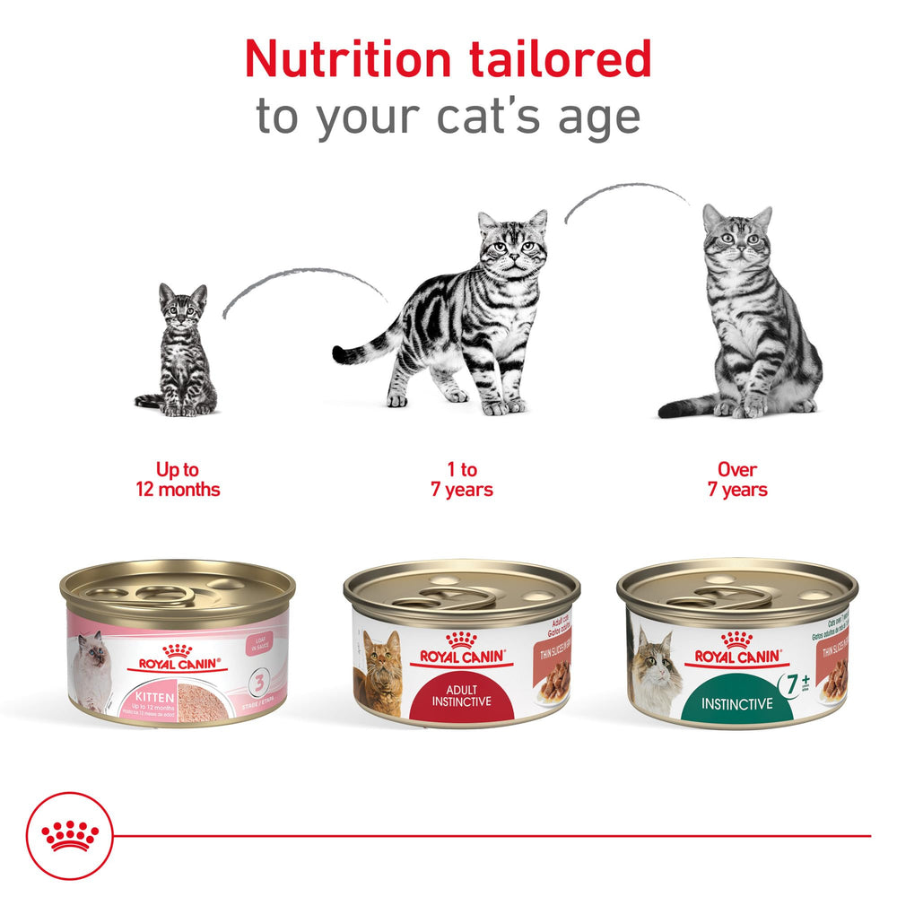 Royal Canin Gato Adulto, mezcla fácil con croquetas secas.