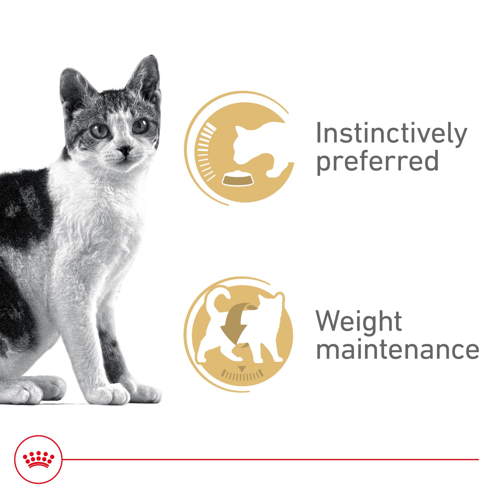 Royal Canin Gato Adulto, nutrición equilibrada para energía diaria.