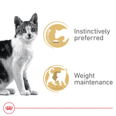Royal Canin Gato Adulto, nutrición equilibrada para energía diaria.