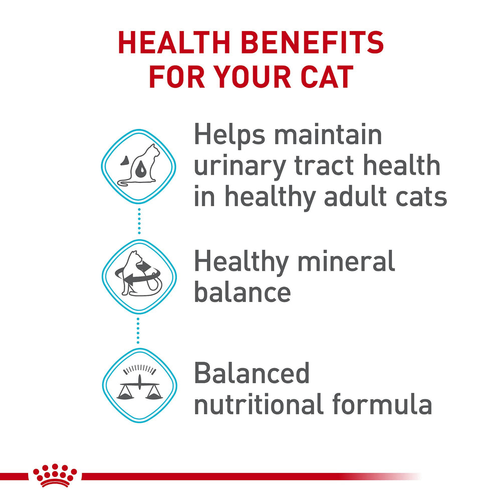 Royal Canin gato comiendo en tazón con alimento seco, conveniencia diaria.