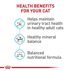 Royal Canin gato comiendo en tazón con alimento seco, conveniencia diaria.