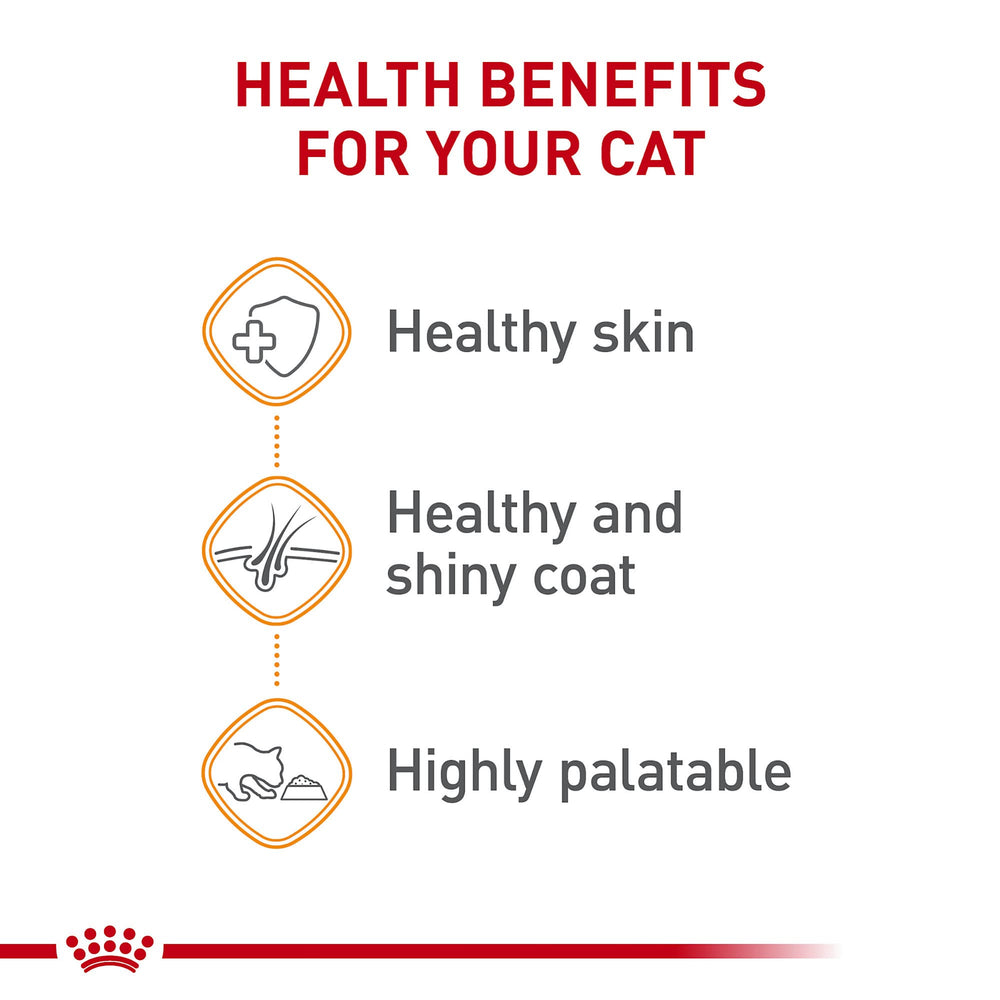 Royal Canin Gato nutrición equilibrada para consumo diario