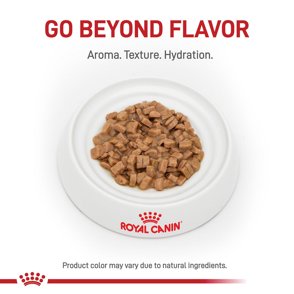 Royal Canin Gato ayuda a mantener peso saludable con porciones