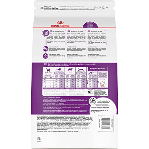 Royal Canin Gato con prebióticos y proteínas fáciles de digerir.