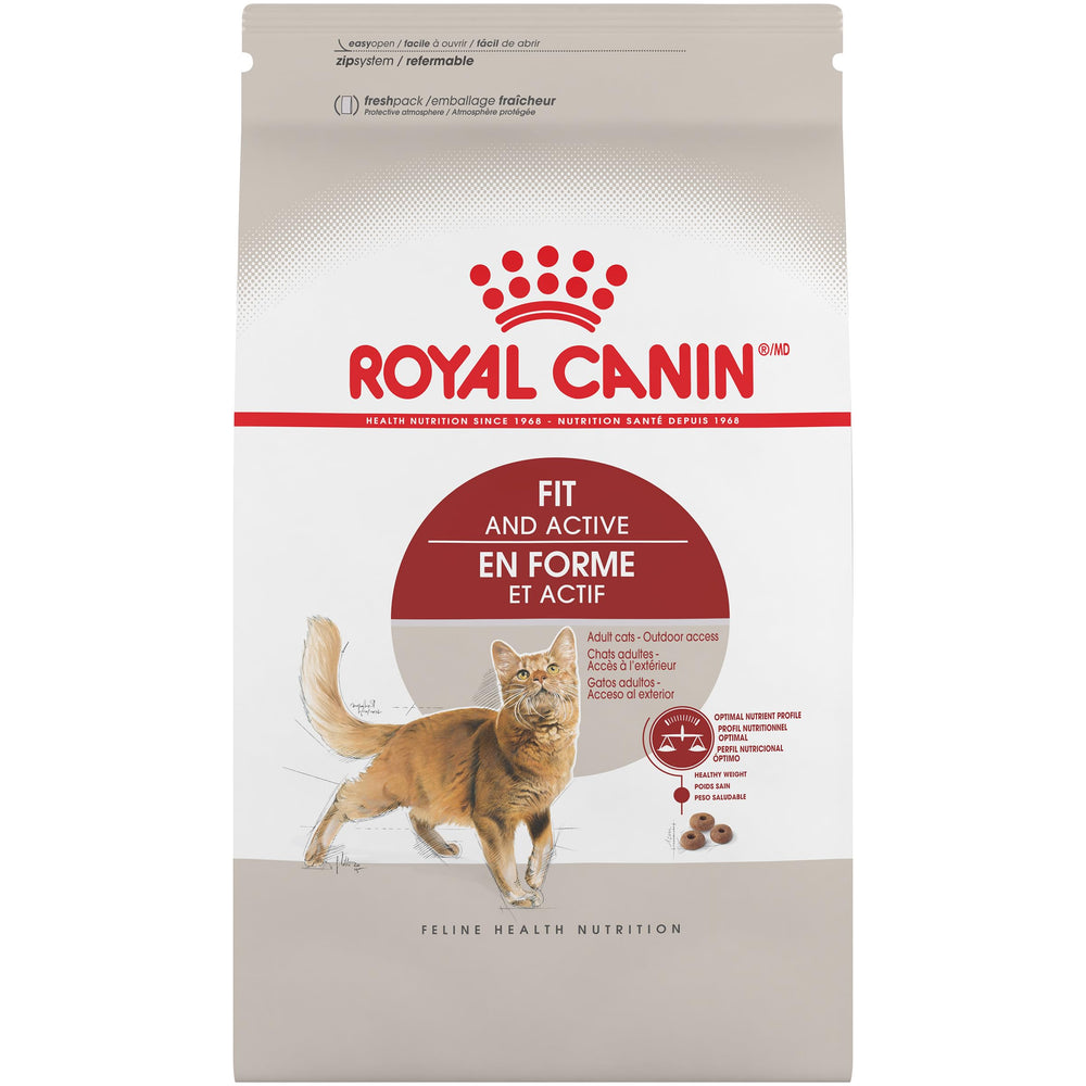 Royal Canin Gato alimento seco Fit y Activo para energía diaria