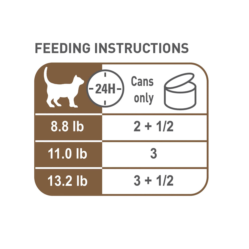 Royal Canin Gato Senior con ingredientes clave para piel y pelaje.