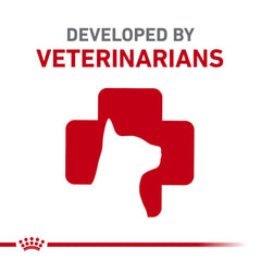 Royal Canin Gato Senior sirviendo en plato, apetito diario.