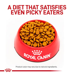 Royal Canin HP proteína hidrolizada de soja para digestibilidad.