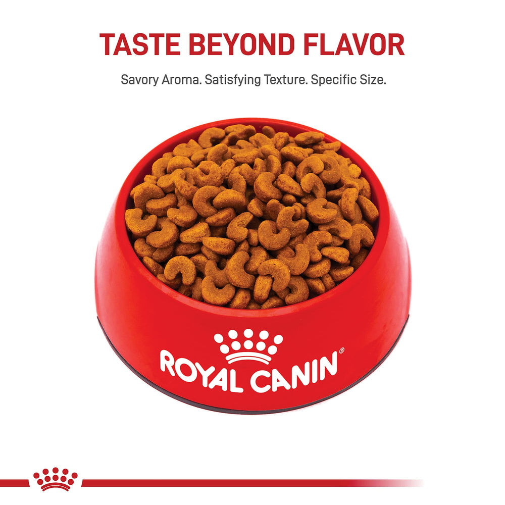 Nutrientes antioxidantes de Royal Canin para apoyar el desarrollo inmunológico del cachorro bulldog francés.