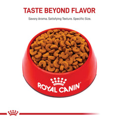 Nutrientes antioxidantes de Royal Canin para apoyar el desarrollo inmunológico del cachorro bulldog francés.