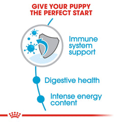 ROyAL CANIN: inmunidad y digestivo con antioxidantes y prebióticos.