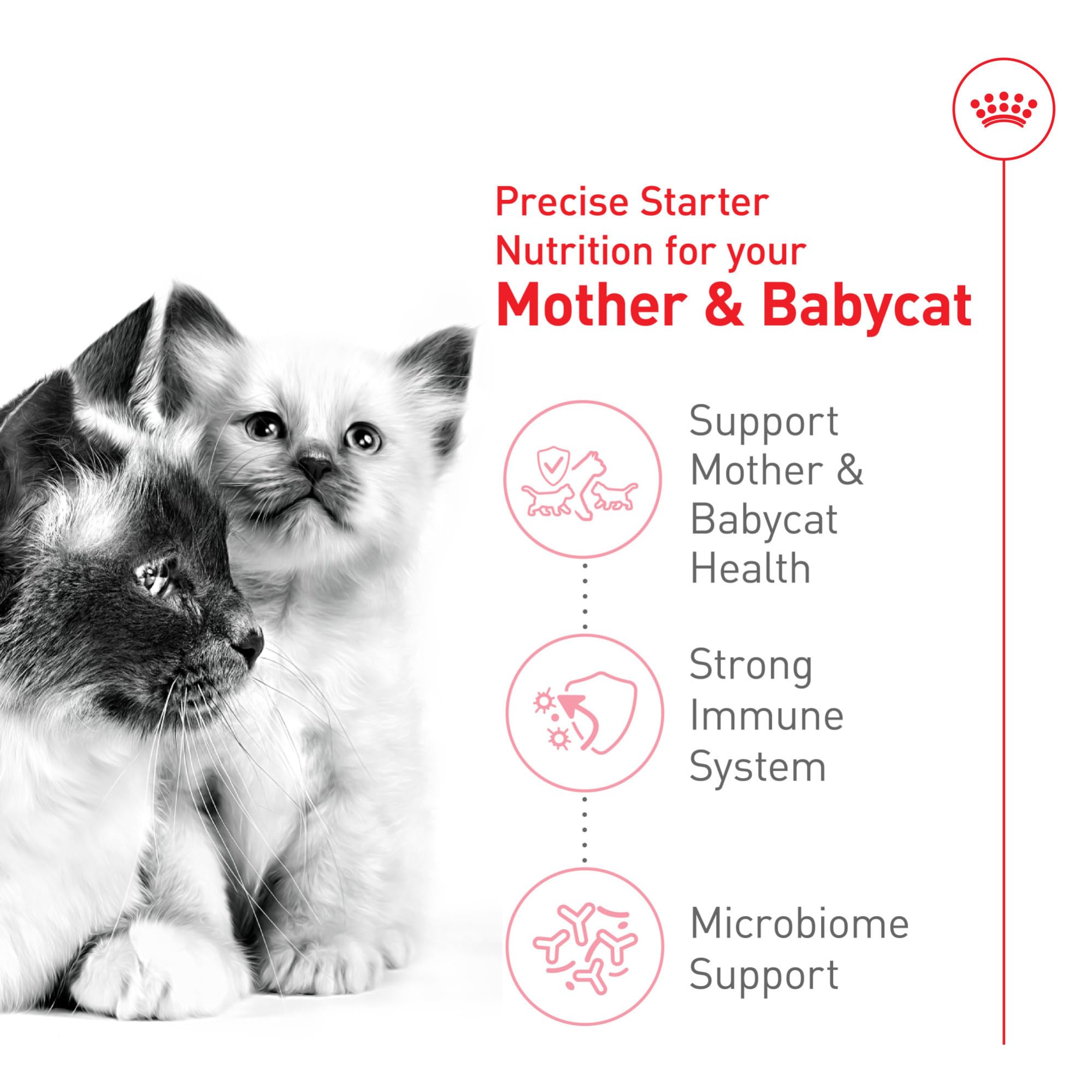 Royal Canin croquetas rehidratables que facilitan la transición de leche a sólido.