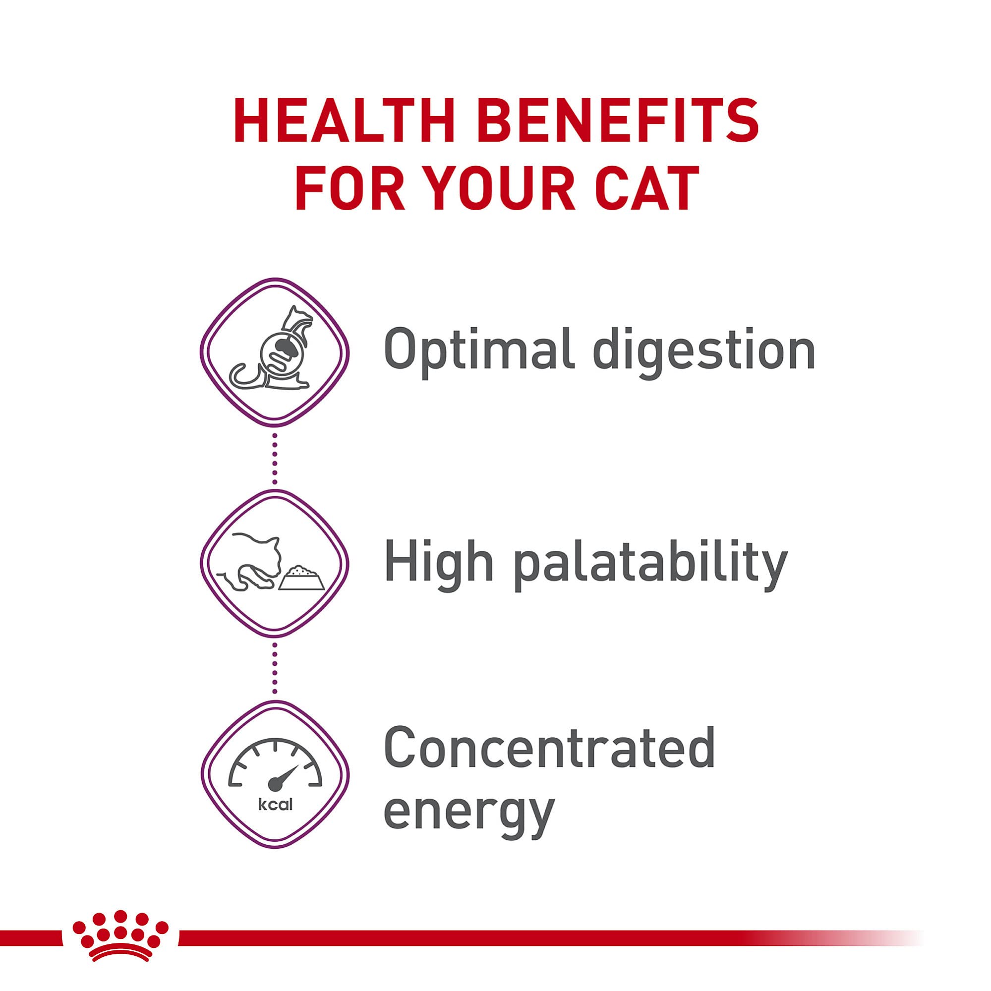 Royal Canin Kibble único para estimular el interés de la gata.