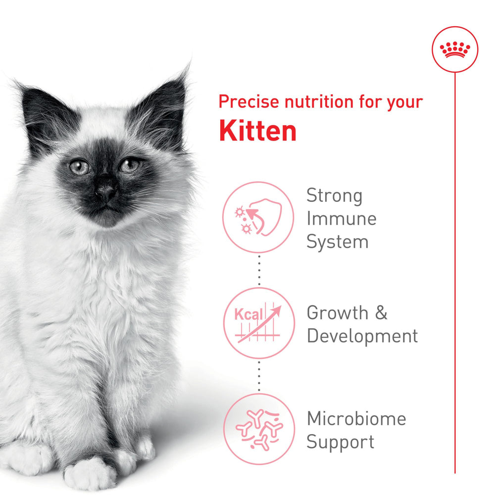 ROYAL CANIN: prebióticos para apoyar la digestión de gatitos.