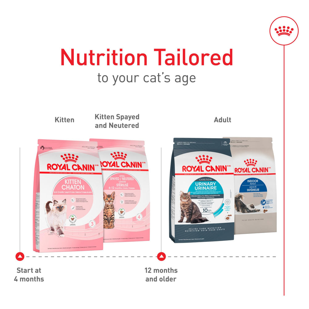 ROYAL CANIN: nutrientes para energía y crecimiento en gatitos.