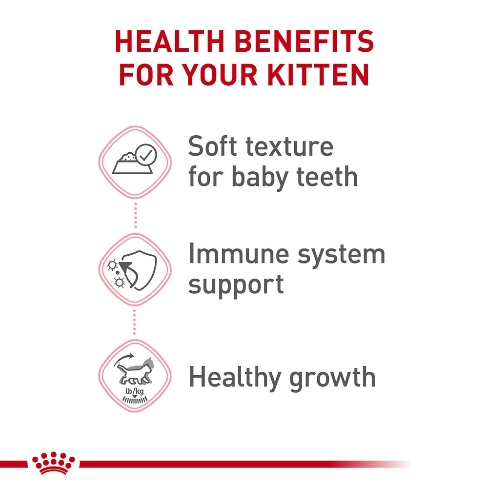 Gatito comiendo Royal Canin Kitten Loaf en Salsa.