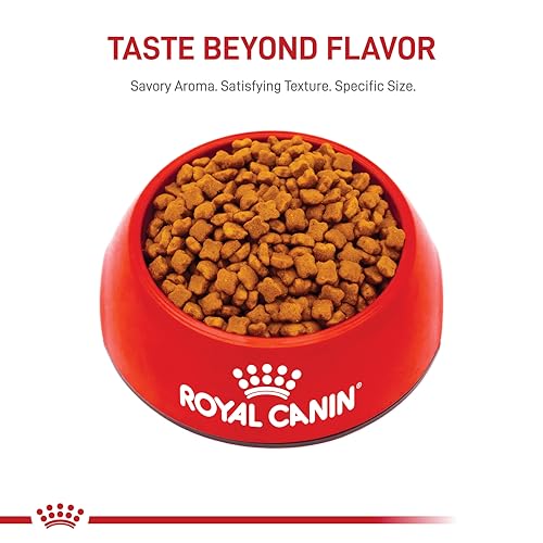 ROYAL CANIN: nutrición para todas las fases de vida gatuna.
