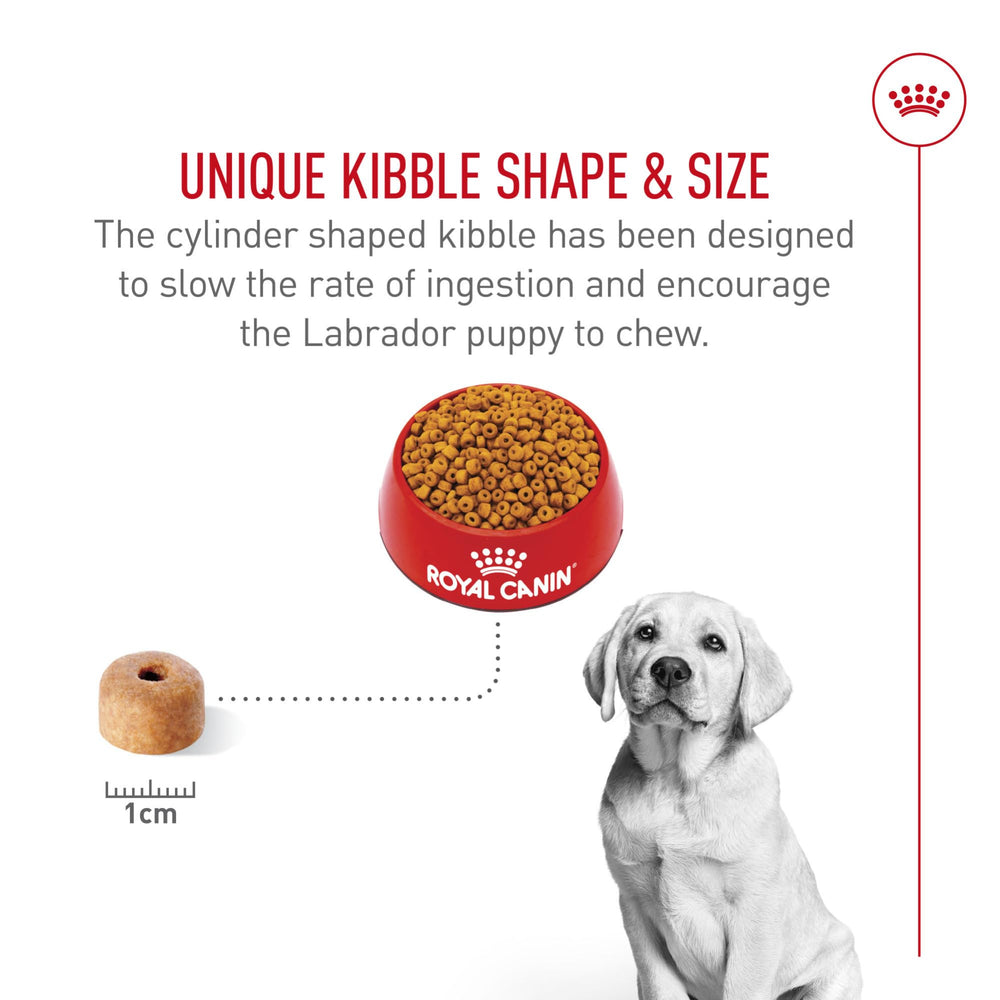 Royal Canin Labrador Puppy: croqueta en forma de dona para seguridad y calidad.