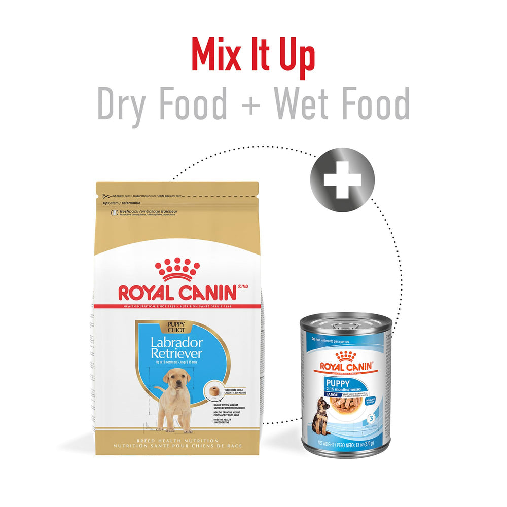 Royal Canin Labrador Puppy: croqueta en forma de dona para consumo diario práctico.